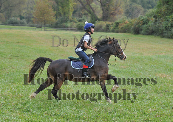 CheshirePC(10-16-16)0033