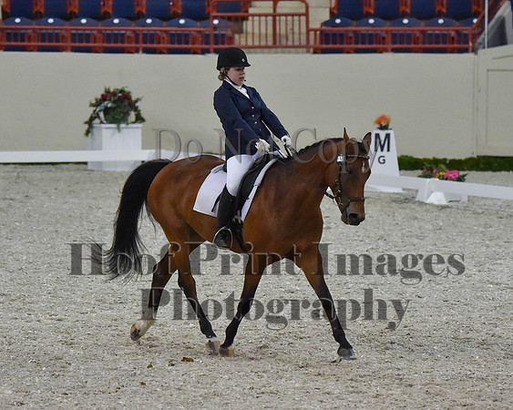 CWdressageII(8-21-16)2099