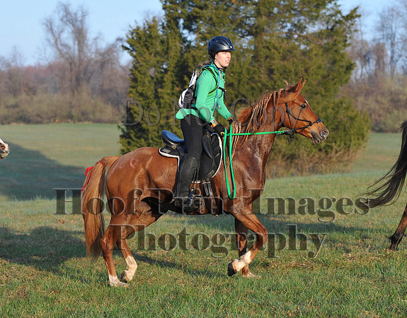 Foxcatcher(4-12-14)0444