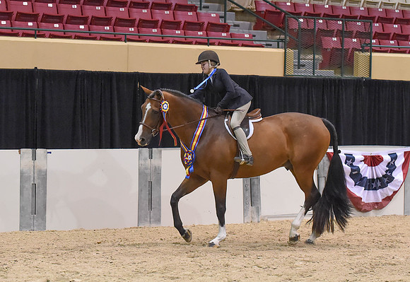 MHSAHtStFinH(9-12-14)0244