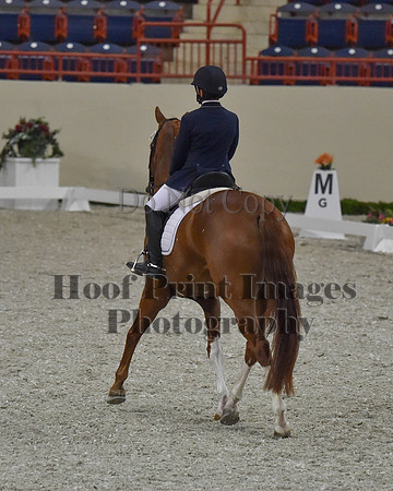 CWdressageII(8-21-16)1166