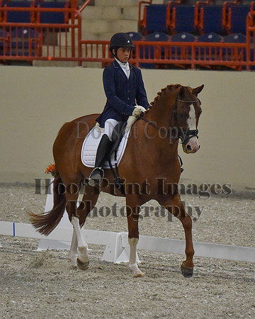 CWdressageII(8-21-16)1203
