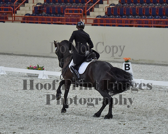 CWdressageII(8-21-16)1811