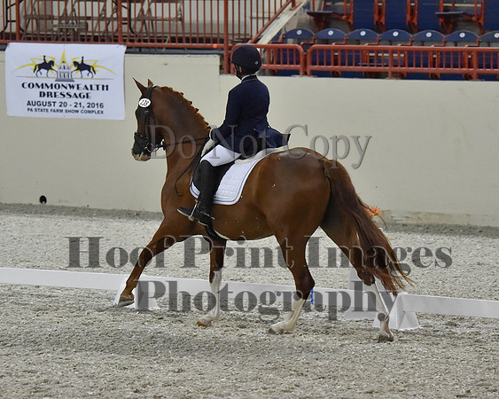 CWdressageII(8-21-16)2024