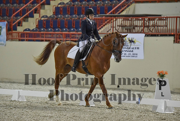 CWdressageI(8-20-16)0785