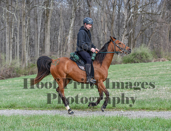 ChesapeakeSpring(4-10-22)0132