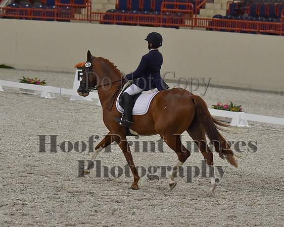 CWdressageII(8-21-16)1199