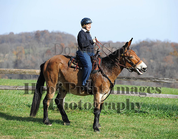AndrewsBr(11-9-14)0317