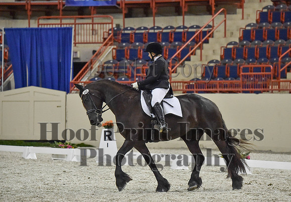 CWdressageI(8-20-16)1382