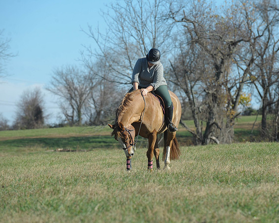 BHPC(11-15-15)0079