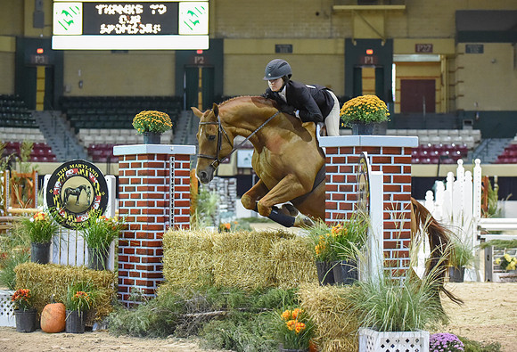 MHSAHtStFinH(9-12-14)0048
