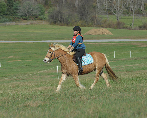 BHPC(11-15-15)0473