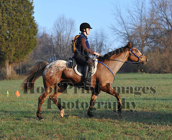 Foxcatcher(4-12-14)0439