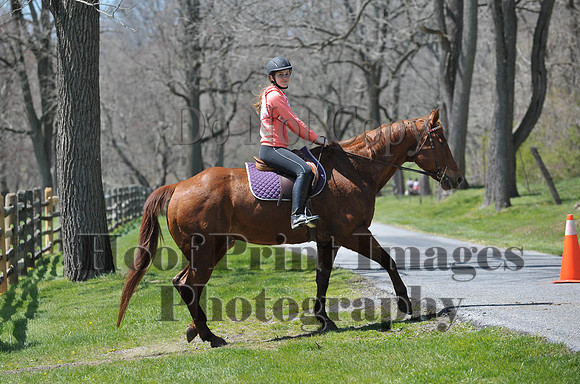 CheshirePC(4-16-16)0242
