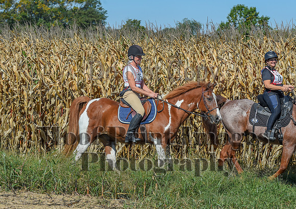 CheshirePonyClubPC(10-6-24)0252