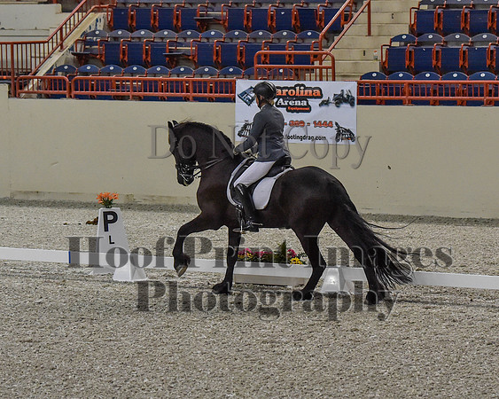 CWdressageII(8-21-16)0210