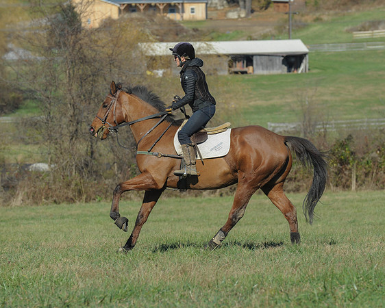 BHPC(11-15-15)0199