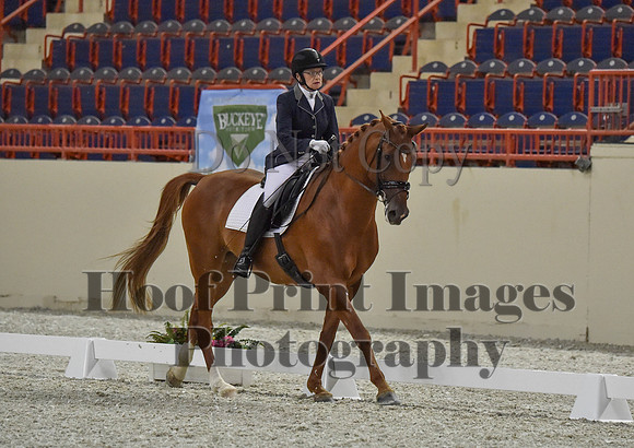 CWdressageI(8-20-16)0783