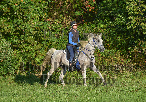 ChesapeakeFallSun(9-17-23)0037