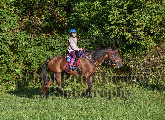 ChesapeakeFallSun(9-17-23)0087