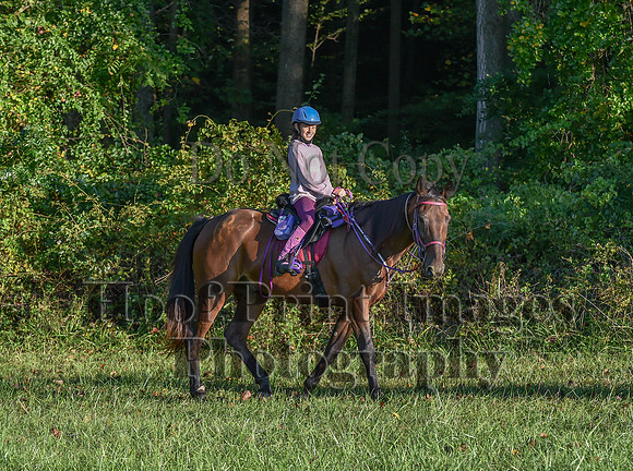 ChesapeakeFallSun(9-17-23)0091