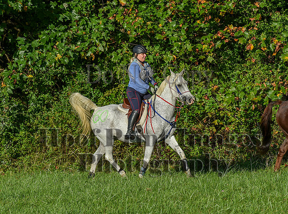 ChesapeakeFallSun(9-17-23)0141
