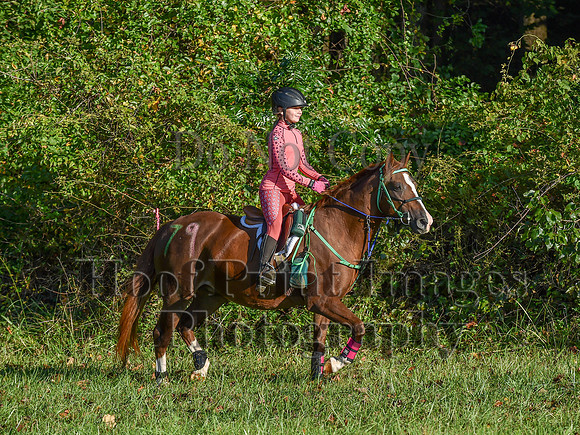 ChesapeakeFallSun(9-17-23)0147