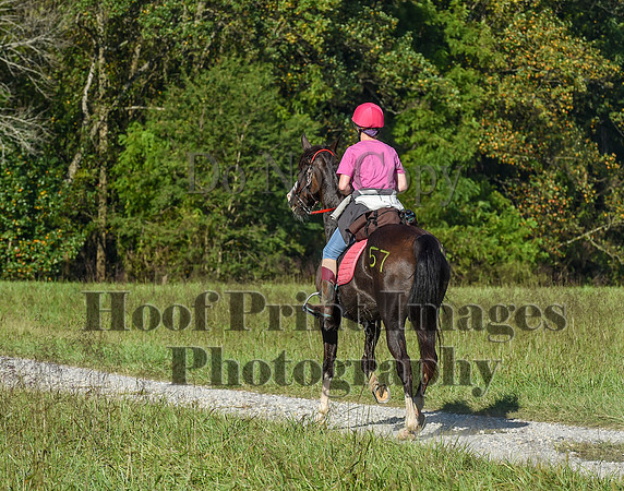 ChesapeakeFallSun(9-17-23)0180