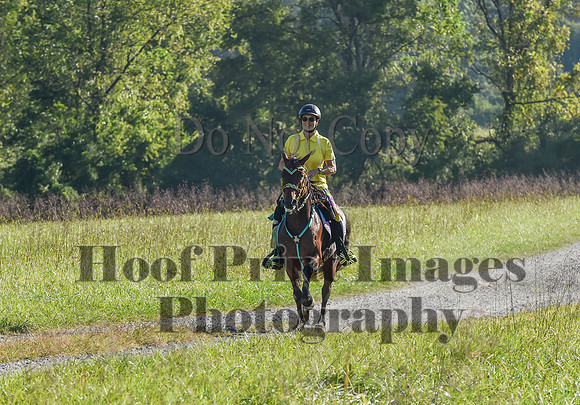 ChesapeakeFallSun(9-17-23)0187