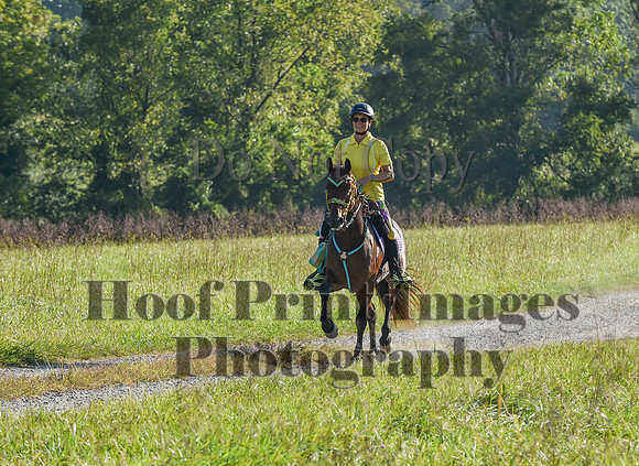 ChesapeakeFallSun(9-17-23)0189