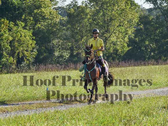 ChesapeakeFallSun(9-17-23)0191