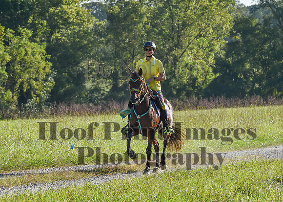 ChesapeakeFallSun(9-17-23)0192