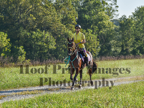 ChesapeakeFallSun(9-17-23)0194