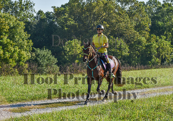 ChesapeakeFallSun(9-17-23)0196