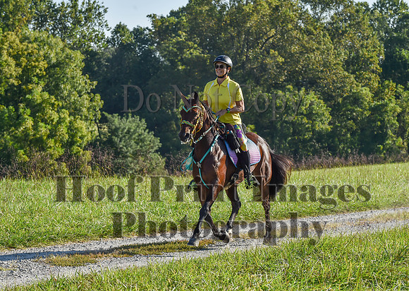 ChesapeakeFallSun(9-17-23)0198