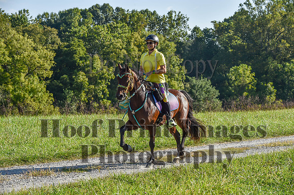 ChesapeakeFallSun(9-17-23)0199