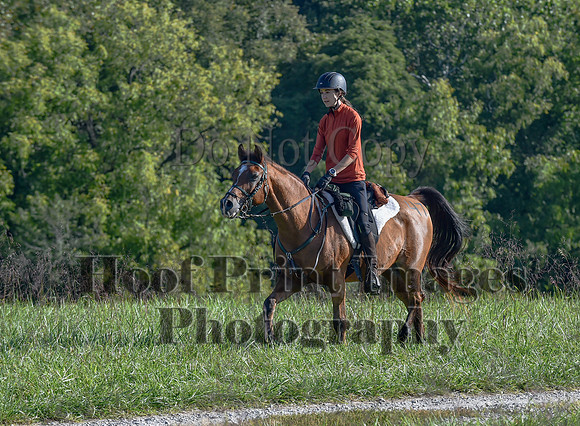 ChesapeakeFallSun(9-17-23)0247