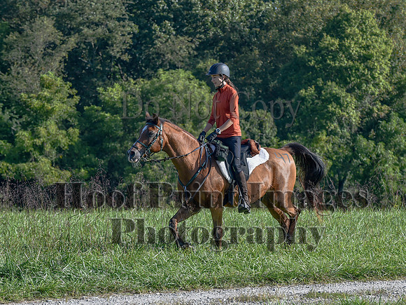 ChesapeakeFallSun(9-17-23)0248