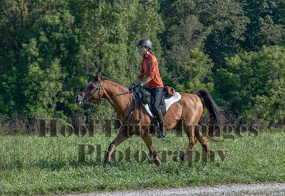 ChesapeakeFallSun(9-17-23)0250
