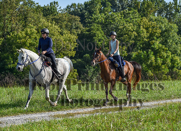 ChesapeakeFallSun(9-17-23)0259