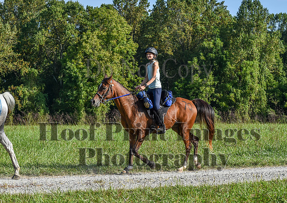 ChesapeakeFallSun(9-17-23)0264