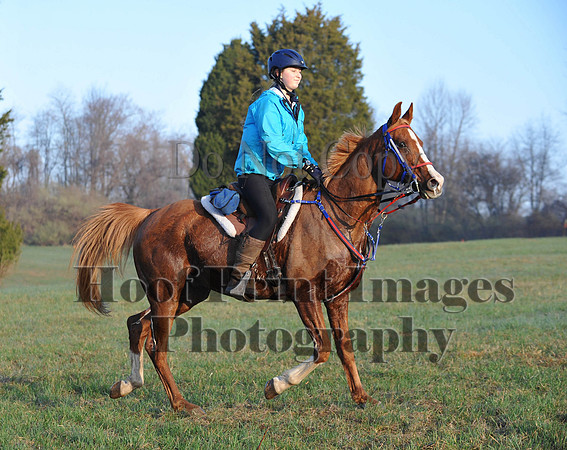 Foxcatcher(4-12-14)0458