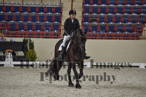 CWdressageI(8-20-16)1383