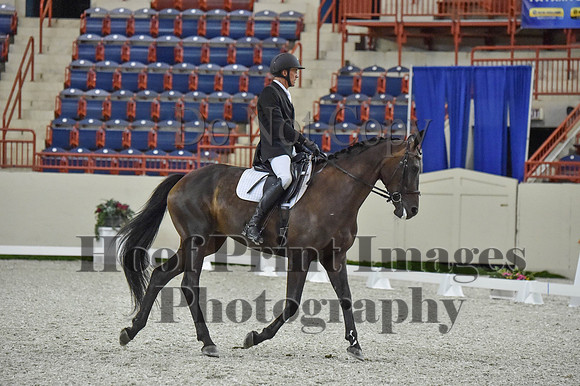 CWdressageI(8-20-16)0661