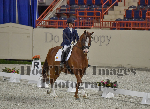 CWdressageI(8-20-16)0149