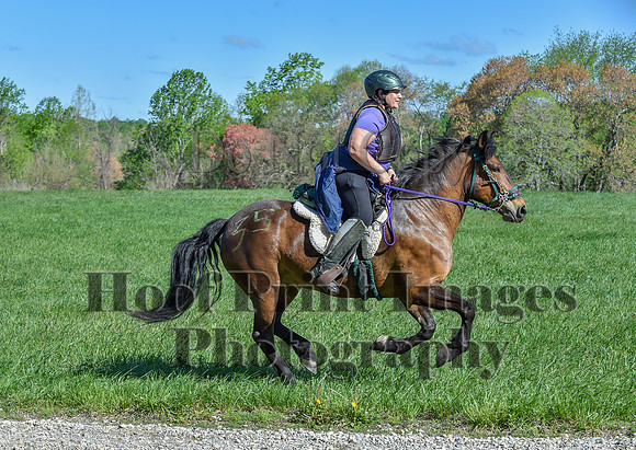 ChesapeakeSpring(4-27-25)0607