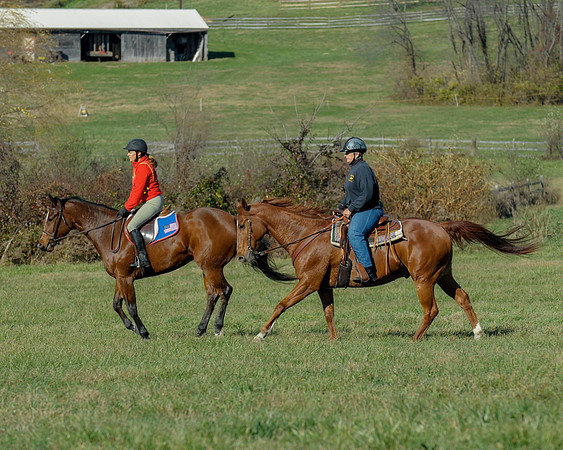 BHPC(11-15-15)0583