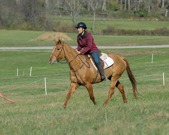 BHPC(11-15-15)0528