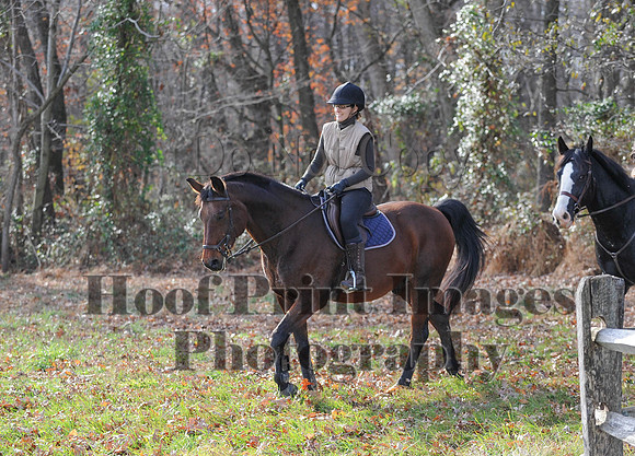 AndrewsBr(11-9-14)0577