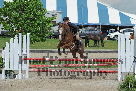 BRSa(5-17-14)0.8mJCl0048
